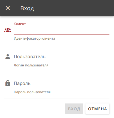Форма входа